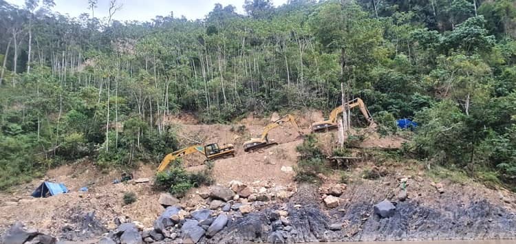 Deforestación desmonta para minería ilegal