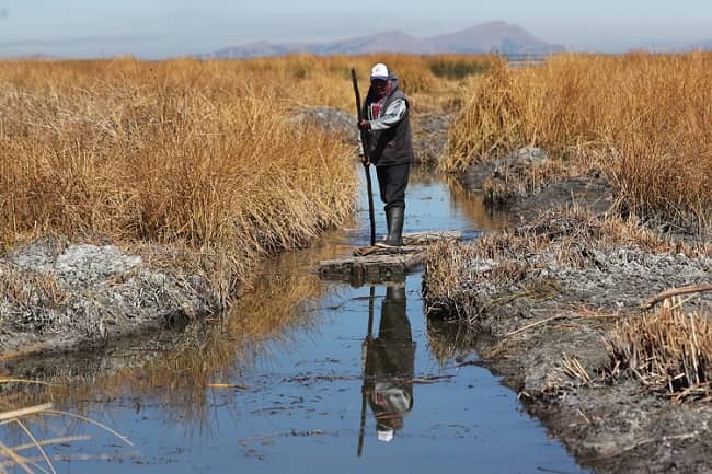 sequía, crisis hídrica lago titicaca