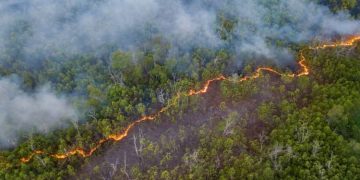 incendios, fuego, amazonas Brasil