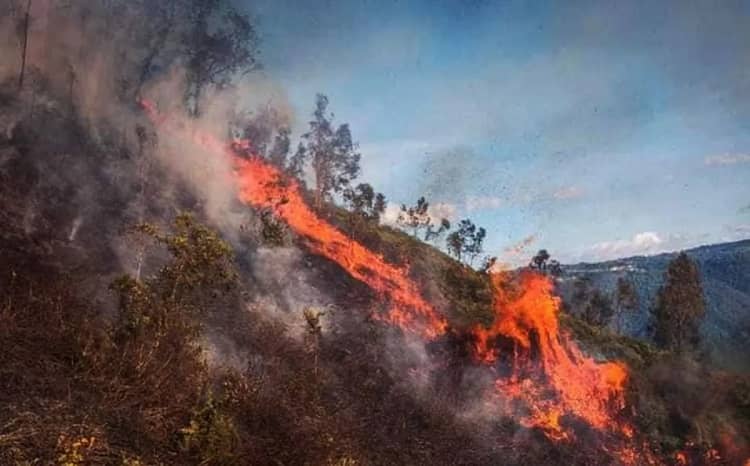 incendios forestales, la paz, bolivia