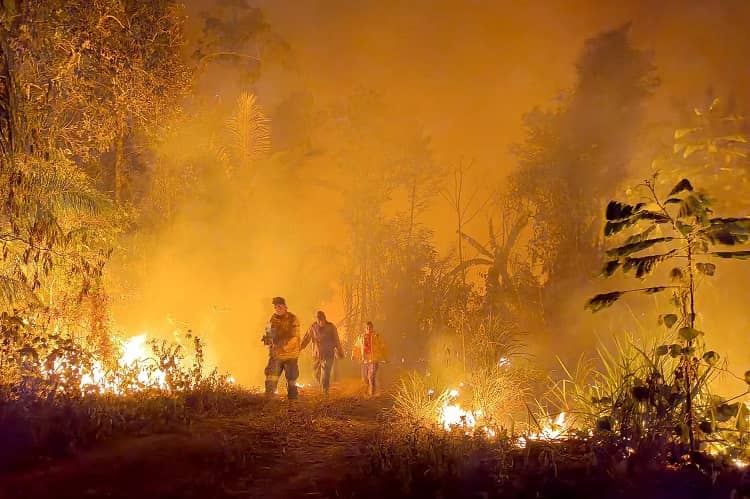 Bolivia, rurenabaque incendios forestales