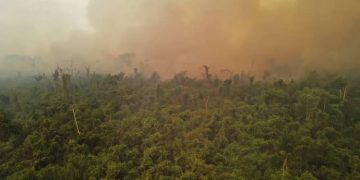 incendios forestales Bolibia 2023m calentamiento global