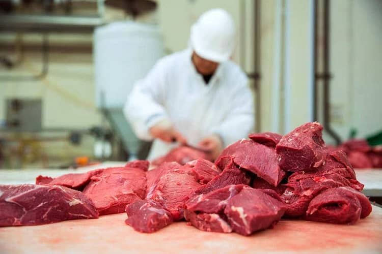 carne exportación