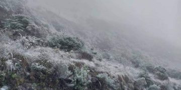 heladas sequía producción Bolivia