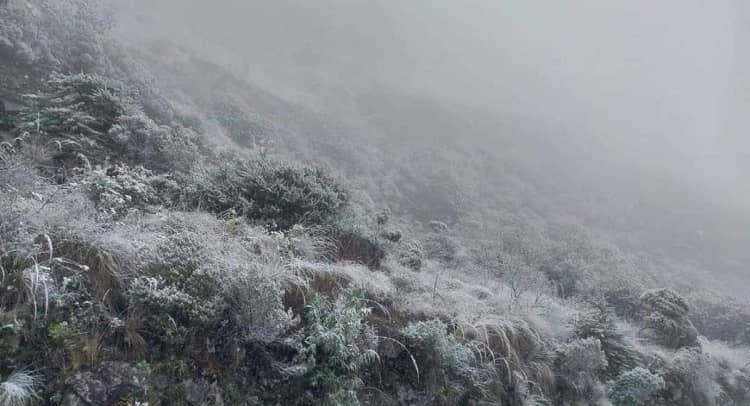 heladas sequía producción Bolivia