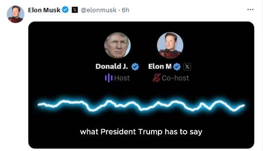 captura @elonmusk