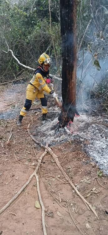 incendios forestales chiquitania bolivia