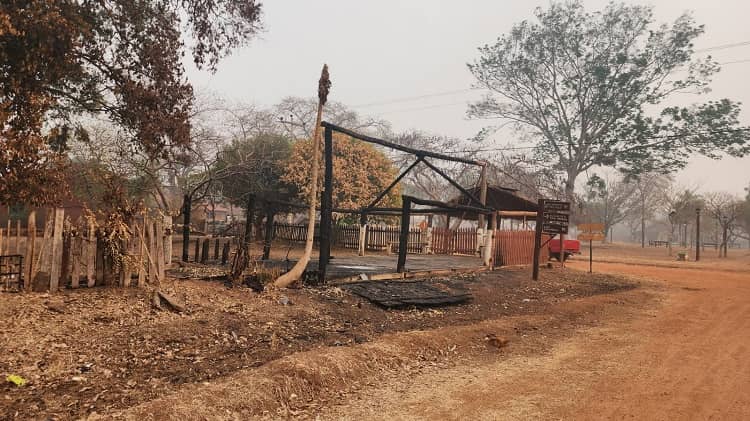 incendios forestales santa ana de velasco chiquitania santa cruz bolivia