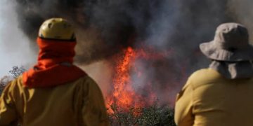 incendios forestales bolivia 2024 medio ambiente