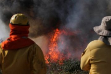 incendios forestales bolivia 2024 medio ambiente