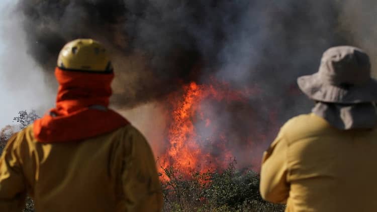 incendios forestales bolivia 2024 medio ambiente