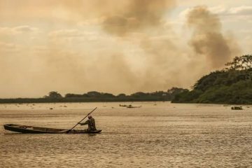 incendios forestales bolivia, ayuda humanitaria brasil