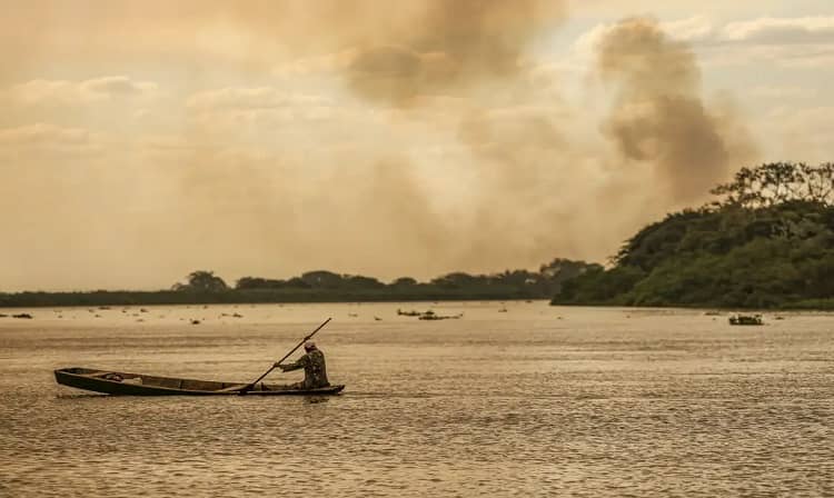 incendios forestales bolivia, ayuda humanitaria brasil