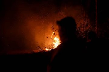 incendios forestales bolivia