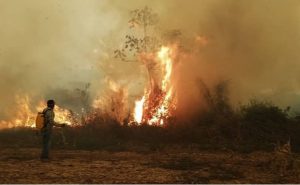 incendios forestales bolivia, pausa ambiental 2024