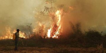 incendios forestales bolivia, pausa ambiental 2024