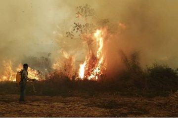 incendios forestales bolivia, pausa ambiental 2024