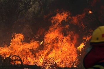 incendios bolivia ayuda humanitaria brasil