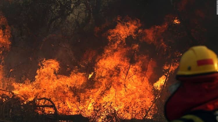 incendios bolivia ayuda humanitaria brasil