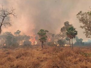 incendios forestales bolivia amazonía, parque san matías