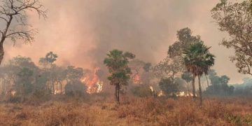 incendios forestales bolivia amazonía, parque san matías