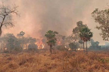 incendios forestales bolivia amazonía, parque san matías