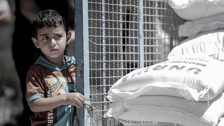 UNRWA ayuda humanitaria en Gaza