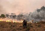 incendios forestales bolivia chiquitanía 2024