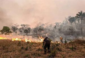 incendios forestales bolivia chiquitanía 2024