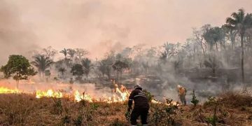 incendios forestales bolivia chiquitanía 2024