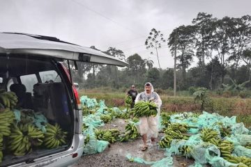 bloqueo caminos, evo morales, pérdidas en la producción alimentos