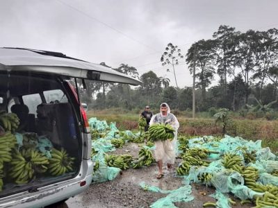 bloqueo caminos, evo morales, pérdidas en la producción alimentos