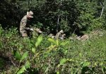 erradicación coca chapare bolivia