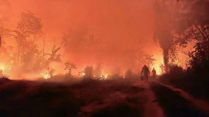 incendios forestales Desastre bolivia 2024