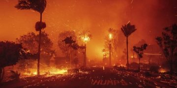 incendios los ángeles eeuu