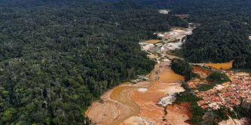 minería ilegal brasil