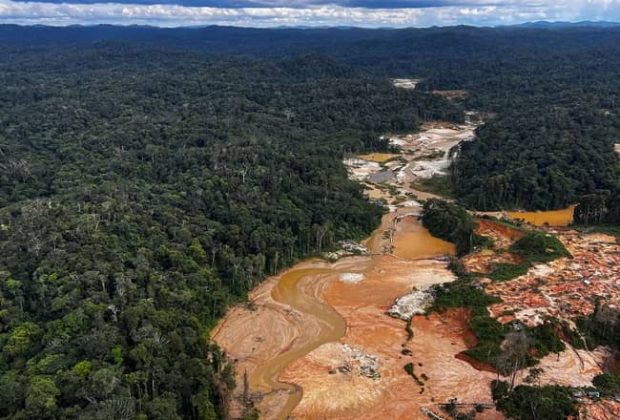 minería ilegal brasil