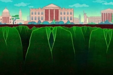 trump vs estado profundo