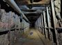 narco tunel Tijuana San Diego EEUU