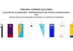 papeleta electoral TSE bolivia 2025