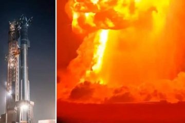starship cohete explota, elon musk