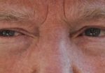 trump estados unidos