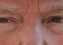 trump estados unidos