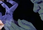 Metallica: Enter Sandman