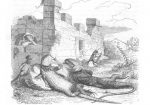 animales de la granja 13