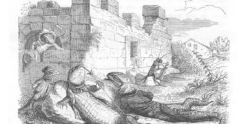 animales de la granja 13