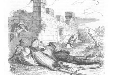 animales de la granja 13