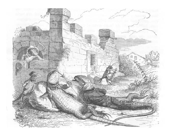 animales de la granja 13