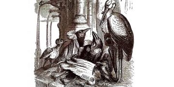 granja de animales 140