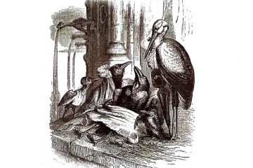 granja de animales 140